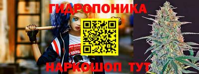 Альфа ПВП Лесосибирск