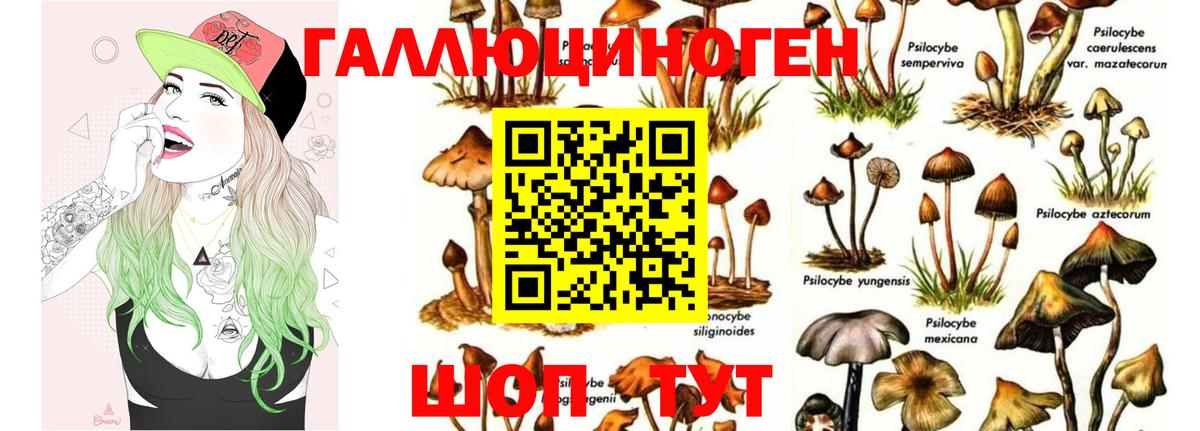 Псилоцибиновые грибы Magic Shrooms Ижевск