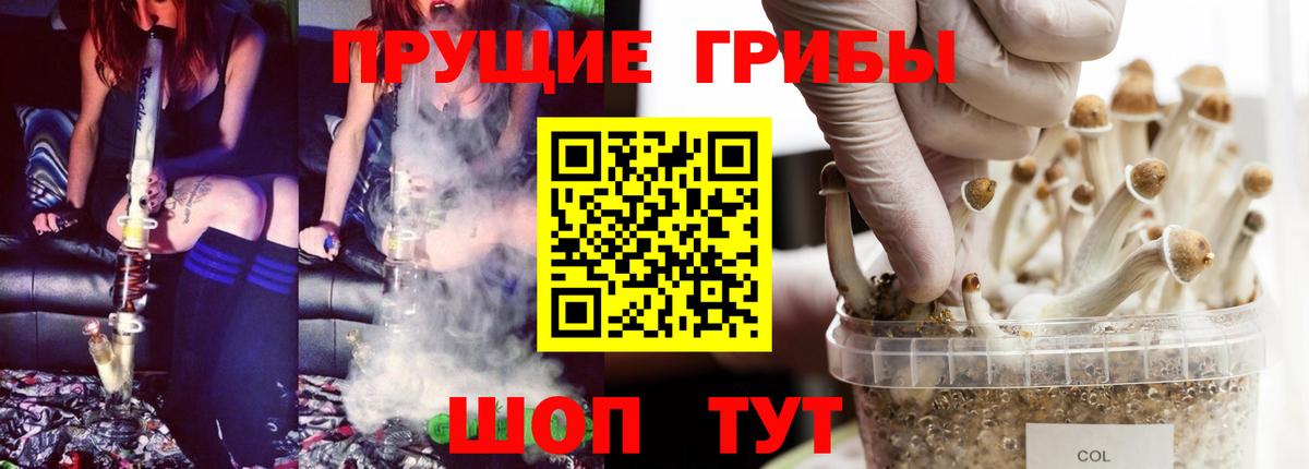 Ижевск  Псилоцибиновые грибы мухоморы  купить наркоту  Вход с VPN 